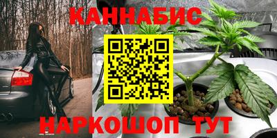 шишки Краснознаменск
