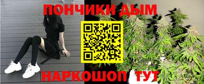 шишки Краснознаменск