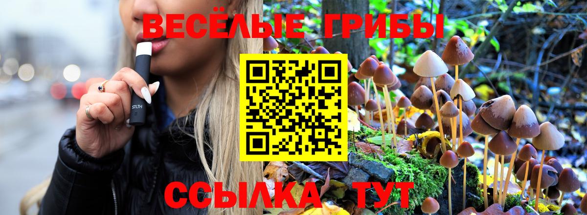Псилоцибиновые грибы мухоморы  Вход с VPN  Галлюциногенные грибы мицелий  Изобильный 