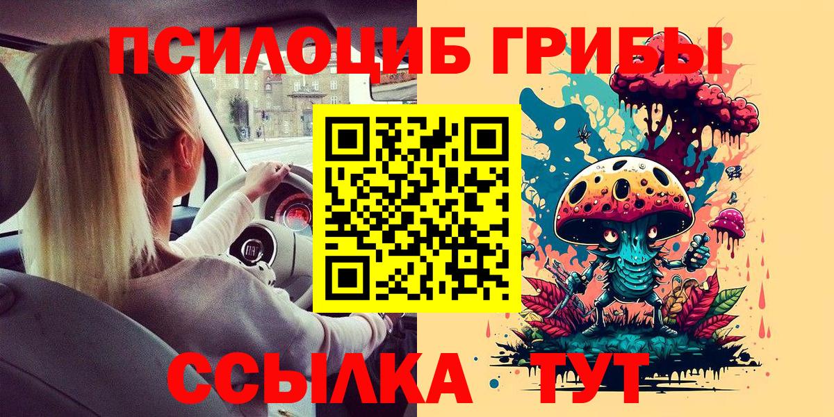Галлюциногенные грибы Cubensis Изобильный